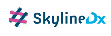 SkylineDx BV